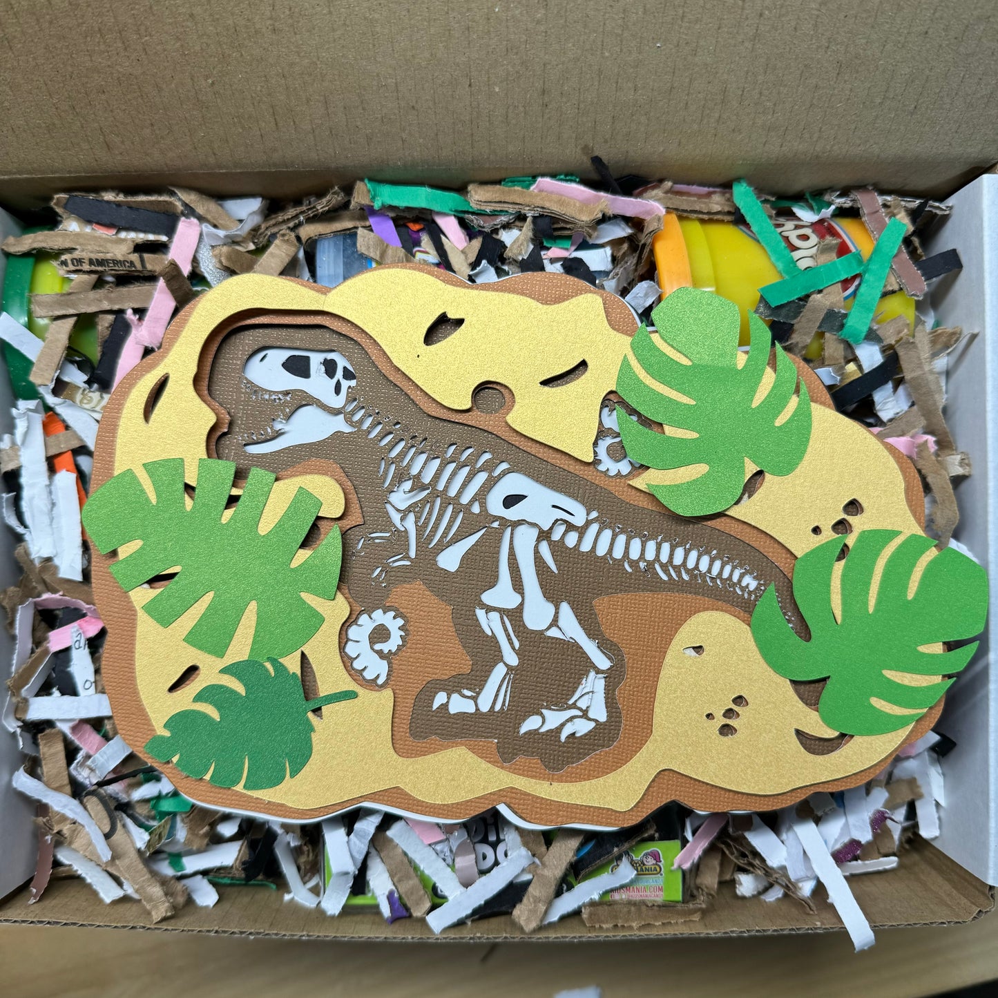 Dinosaur Bundle Box